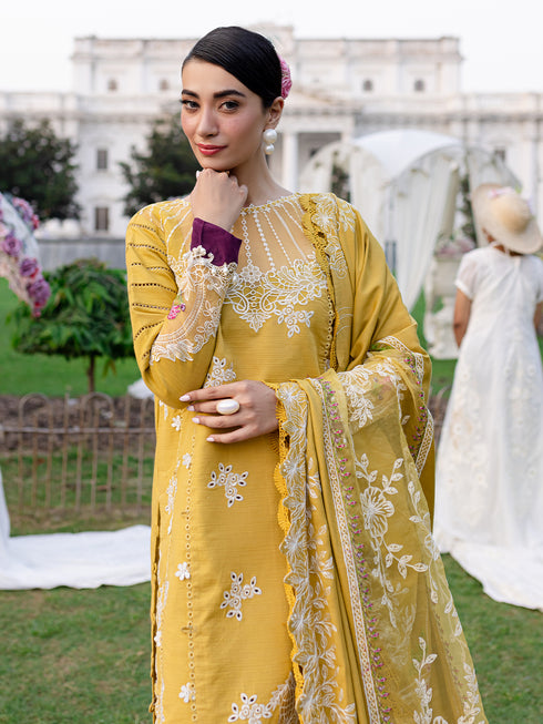 PN-11 | 3 PC Khaddar